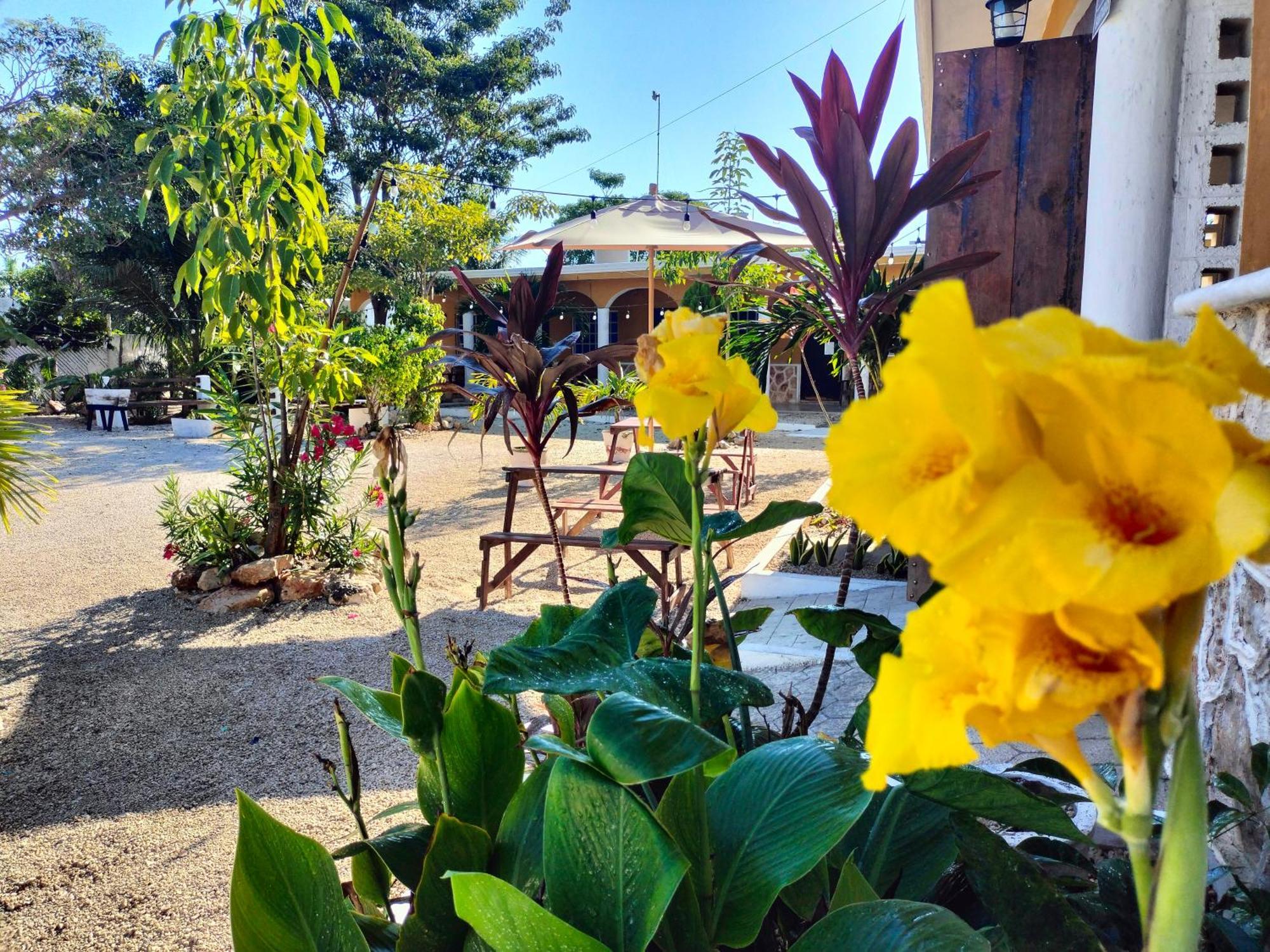 Villa Gabriela Celestun -Hotel & Restaurant Buitenkant foto